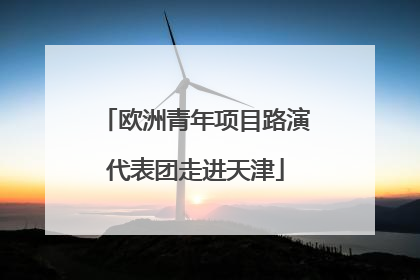 欧洲青年项目路演代表团走进天津