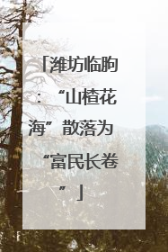 潍坊临朐：“山楂花海”散落为“富民长卷”
