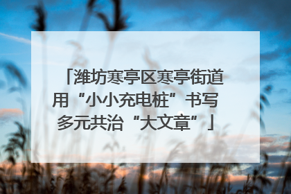 潍坊寒亭区寒亭街道用“小小充电桩”书写多元共治“大文章”