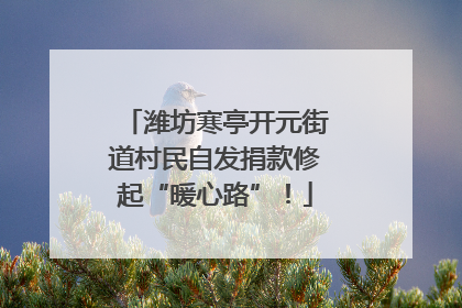 潍坊寒亭开元街道村民自发捐款修起“暖心路”！
