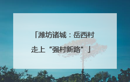 潍坊诸城：岳西村走上“强村新路”