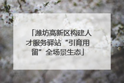 潍坊高新区构建人才服务驿站“引育用留”全场景生态