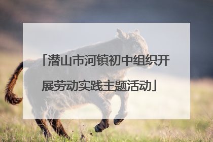 潜山市河镇初中组织开展劳动实践主题活动