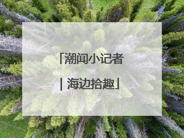 潮闻小记者｜海边拾趣