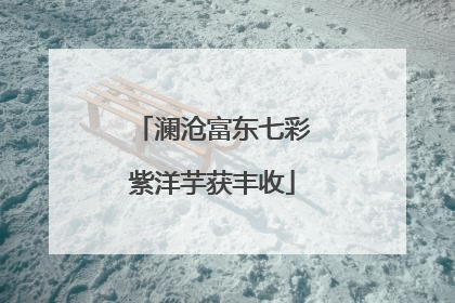 澜沧富东七彩紫洋芋获丰收
