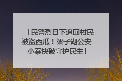 民警烈日下追回村民被盗西瓜！梁子湖公安小案快破守护民生