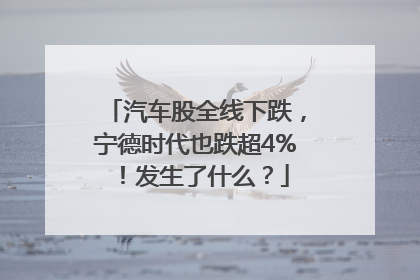 汽车股全线下跌，宁德时代也跌超4%！发生了什么？
