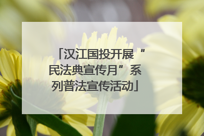汉江国投开展“民法典宣传月”系列普法宣传活动
