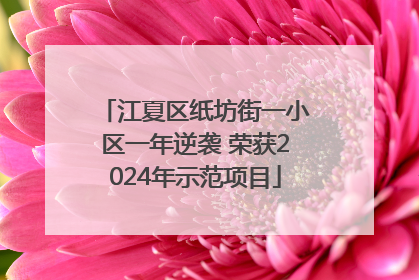 江夏区纸坊街一小区一年逆袭 荣获2024年示范项目