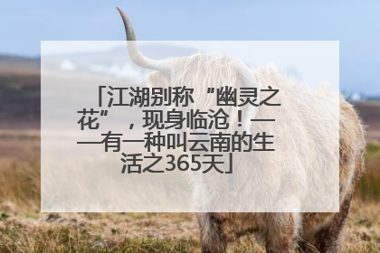 江湖别称“幽灵之花”，现身临沧！——有一种叫云南的生活之365天