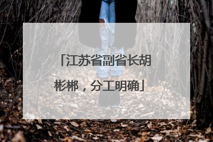 江苏省副省长胡彬郴，分工明确
