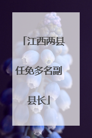 江西两县任免多名副县长