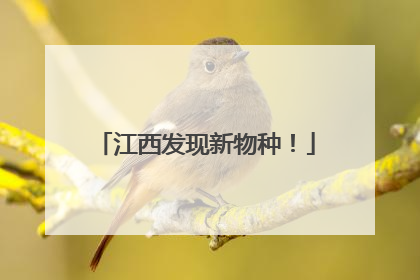 江西发现新物种！