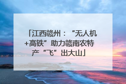 江西赣州：“无人机+高铁”助力赣南农特产“飞”出大山