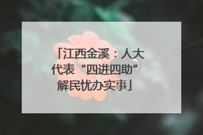 江西金溪：人大代表“四进四助”解民忧办实事