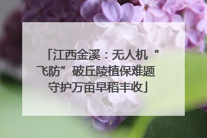 江西金溪：无人机“飞防”破丘陵植保难题 守护万亩早稻丰收