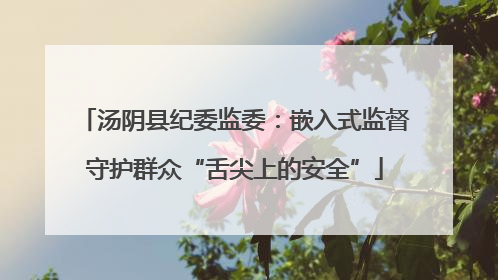 汤阴县纪委监委：嵌入式监督守护群众“舌尖上的安全”