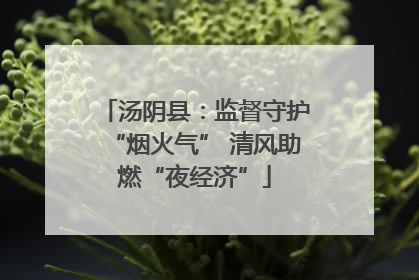 汤阴县：监督守护“烟火气” 清风助燃“夜经济”