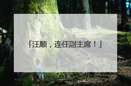 汪顺，连任副主席！