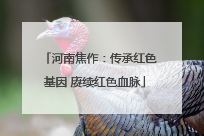 河南焦作：传承红色基因 赓续红色血脉