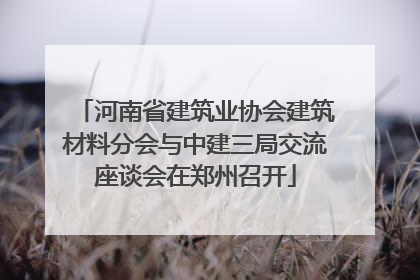 河南省建筑业协会建筑材料分会与中建三局交流座谈会在郑州召开