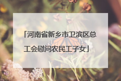 河南省新乡市卫滨区总工会慰问农民工子女