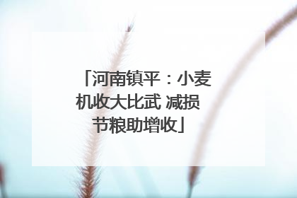 河南镇平：小麦机收大比武 减损节粮助增收