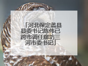 河北保定蠡县县委书记陈伟已跨市调任廊坊三河市委书记