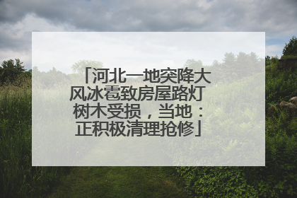 河北一地突降大风冰雹致房屋路灯树木受损，当地：正积极清理抢修