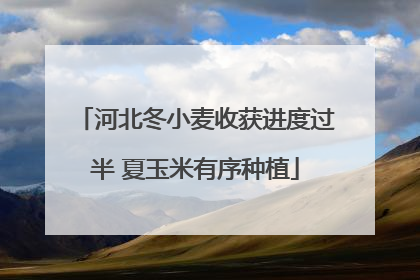 河北冬小麦收获进度过半 夏玉米有序种植