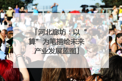 河北廊坊：以“算”为笔描绘未来产业发展蓝图