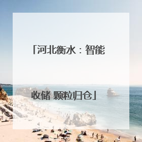 河北衡水：智能收储 颗粒归仓