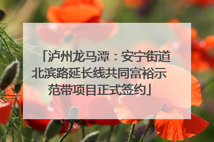 泸州龙马潭：安宁街道北滨路延长线共同富裕示范带项目正式签约