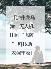 泸州龙马潭：无人机田间“飞防” 科技助农保丰收