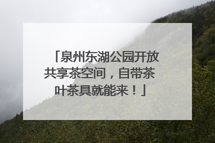 泉州东湖公园开放共享茶空间，自带茶叶茶具就能来！