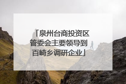 泉州台商投资区管委会主要领导到百崎乡调研企业
