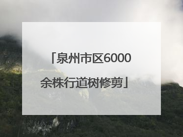 泉州市区6000余株行道树修剪