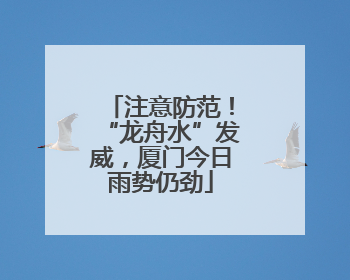 注意防范！“龙舟水”发威，厦门今日雨势仍劲