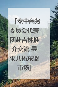 泰中商务委员会代表团赴吉林推介交流 寻求共拓东盟市场