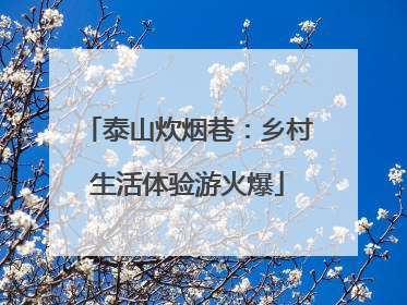 泰山炊烟巷：乡村生活体验游火爆