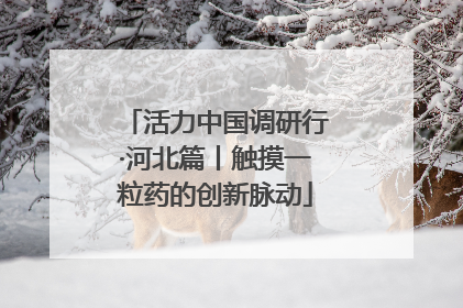 活力中国调研行·河北篇丨触摸一粒药的创新脉动