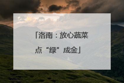 洛南：放心蔬菜点“绿”成金