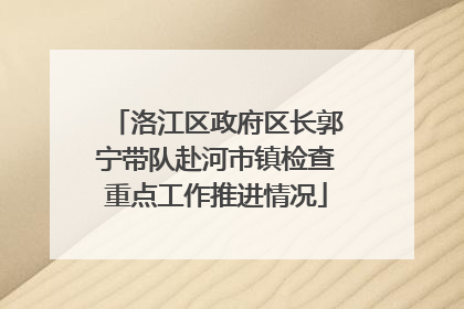 洛江区政府区长郭宁带队赴河市镇检查重点工作推进情况