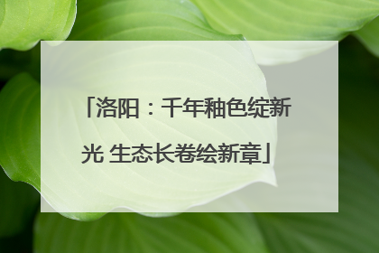 洛阳：千年釉色绽新光 生态长卷绘新章