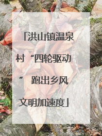 洪山镇温泉村“四轮驱动” 跑出乡风文明加速度