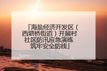 海盐经济开发区（西塘桥街道）开展村社区防汛应急演练 筑牢安全防线