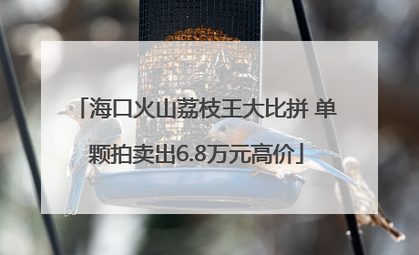海口火山荔枝王大比拼 单颗拍卖出6.8万元高价
