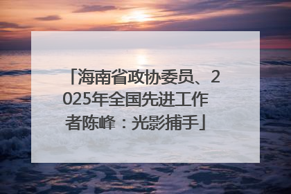 海南省政协委员、2025年全国先进工作者陈峰：光影捕手