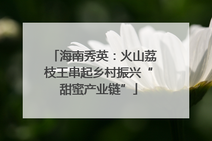 海南秀英：火山荔枝王串起乡村振兴“甜蜜产业链”