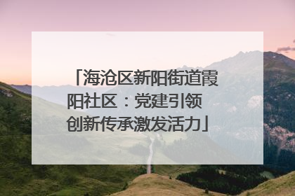 海沧区新阳街道霞阳社区：党建引领 创新传承激发活力